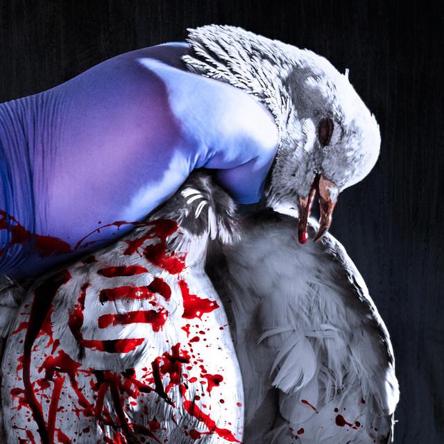 Napalm Death Fredericton